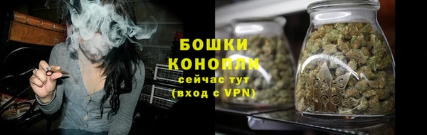 индика Снежногорск