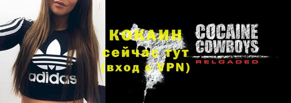 индика Снежногорск