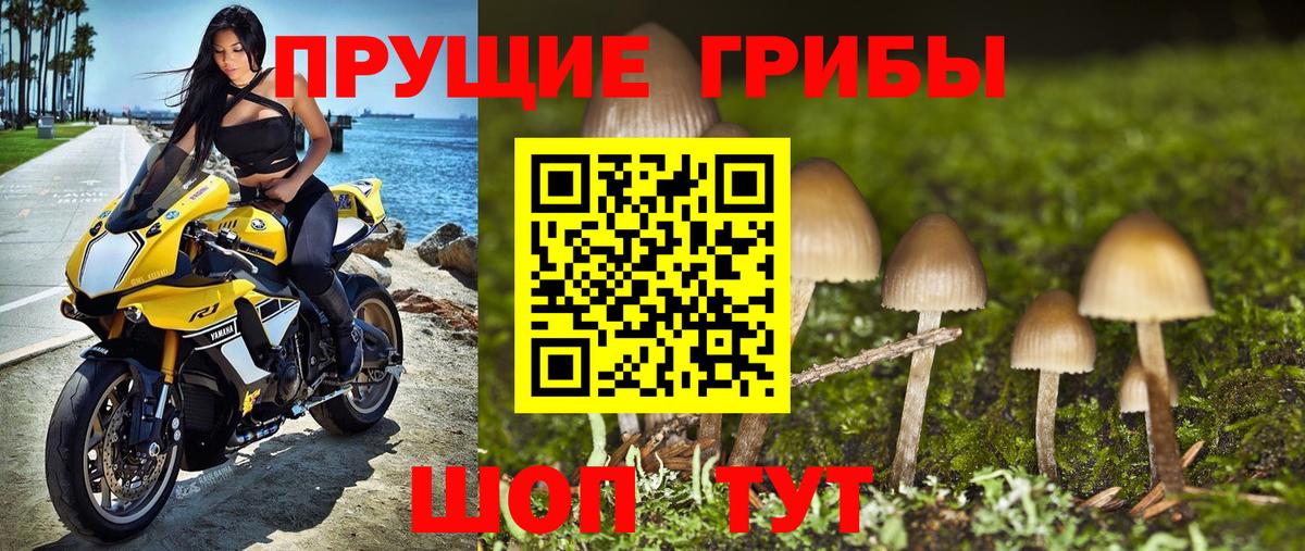 Борзя  купить наркотики сайты  Вход с VPN  Галлюциногенные грибы прущие грибы  Галлюциногенные грибы GOLDEN TEACHER 